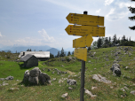 ... und orientieren uns dort an dem Wegweiser nach Adlgaß.
