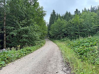 Zurück auf der breiten Fahrstraße...