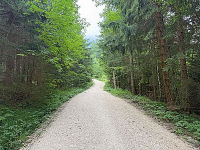 ...wandern wir weiter zu einem Querweg...