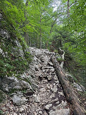 Nach einer felsigen Passage...