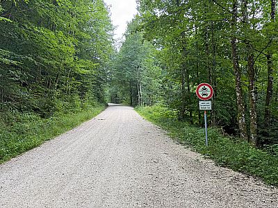 Wir schlagen den breiten Fahrweg in südlicher Richtung ein...