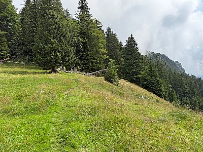 Am Rossboden biegen wir schräg links in einen Wiesenpfad ein