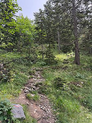 ...gewinnen wir zügig an Höhe