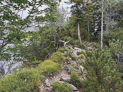 Wir erreichen den Bergrücken der Gedererwand