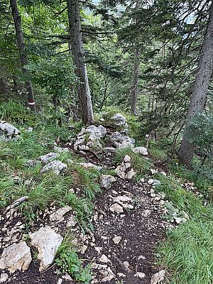 ...steigen wir hinunter...