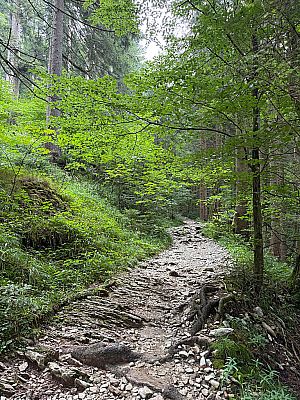 ...über einen kleinen Pfad