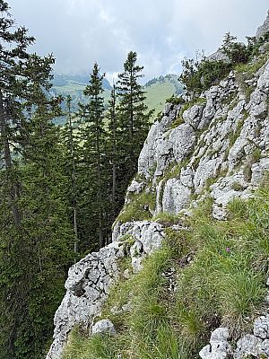 ...steigen wir wieder bergab