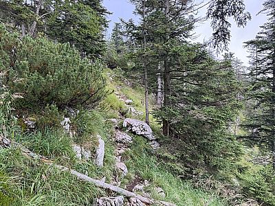 Es folgt ein weiterer Gegenanstieg