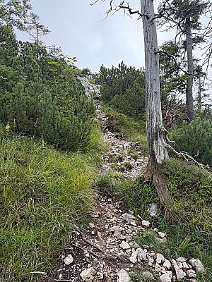 Auf dem schrofigen Pfad...