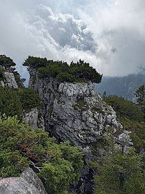 Felsformationen im Gipfelbereich