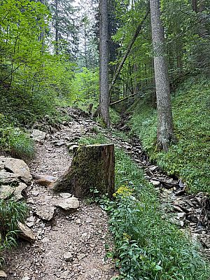 Entlang eines Bachgrabens...