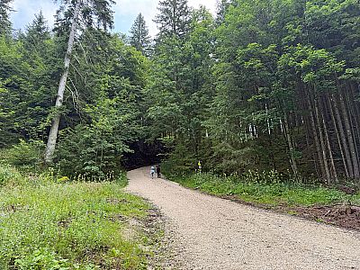 ...wandern wir hinauf zu einem Querweg