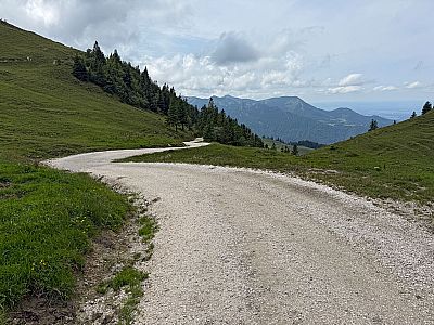 ...und folgen vom Sattel dem breiten Fahrweg westwärts