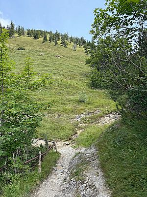 Nach zwei Bachgräben...
