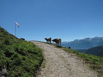 Vom Bach geht es zur Wangalm empor