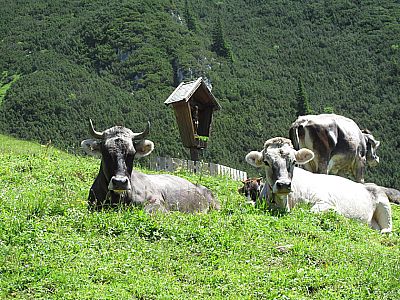 ...stehen wir unter Beobachtung