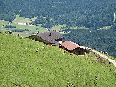 Rückblick zur Wangalm