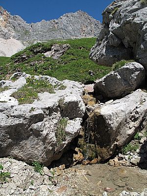 Kleine Erfrischung gefällig?