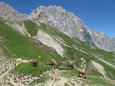 Das Scharnitzjoch ist belagert