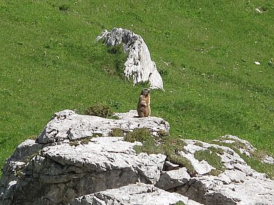 Beim Abstieg werden wir ausgepfiffen