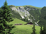 Die Wangalm