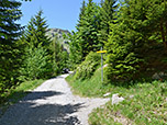 ...und verlassen diesen kurz vor der Materialseilbahn endgültig