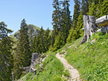 Kurz vor der Gehrenalpe