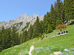 Blick von der Gehrenalpe zur Gehrenspitze