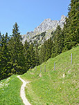 Von der Hütte halten wir auf die Gehrenspitze zu