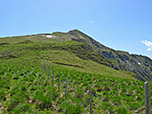 Blick vom Gehrenjoch zur Schneidspitze