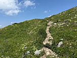 Über das Wiesengelände wandern wir zum Gipfel hinauf