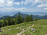 Über den Geierstein schauen wir zum Brauneck