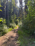 ...nordostwärts
