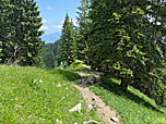 In Kehren wandern wir bergab...