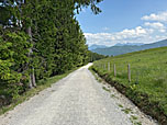 ...bevor wir weiter dem breiten Fahrweg folgen