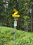 Den Abzweig ins Zeiselbachtal lassen wir links liegen...