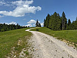 ...und wandern hinauf...