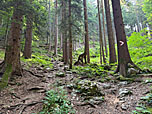 Nach den Felsen...