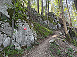 An den Felsen...