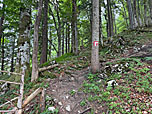 ...und setzen unseren Anstieg zum Geierstein fort