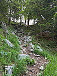 ...wandern wir empor zu einem Sattel