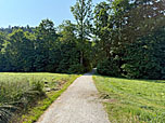 ...und steuern auf ein Waldstück zu