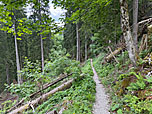 ...wandern wir südostwärts