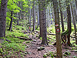 Wir orientieren uns am Weg Nr. 611