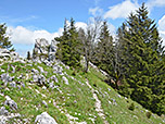 Geschafft, der Gipfel des Geiersteins ist erreicht