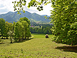 Noch vor der Holzhütte biegen wir rechts ab...