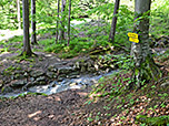...und überqueren den Reiterbach