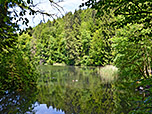 ...und wandern am Schloßweiher entlang