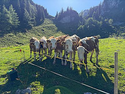 Vorschaubild 9
