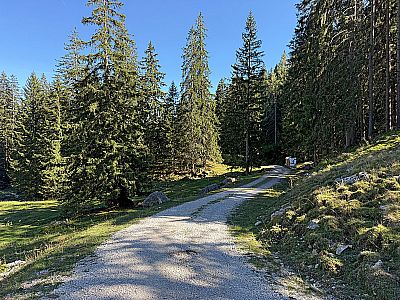 Der Weg führt uns schon bald in den Wald hinein